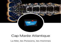 Cap Marée